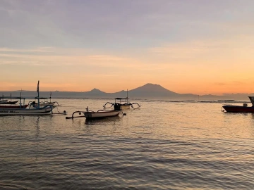 Qingdao Red Wine Import Agency, Things You Didn't Know!