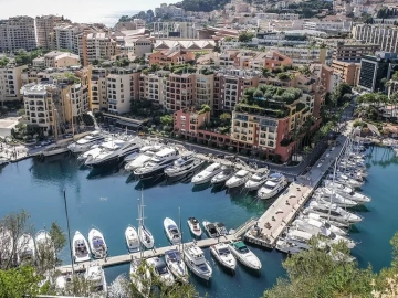 Qingdao Red Wine Agency Hides Billion-Dollar Business Opportunity