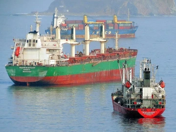 How long does the foreign trade agency tell you to import customs clearance goods?