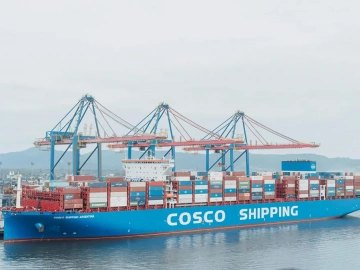 Pigment Imports Always Detained? An Old Shanghai Customs Broker's Guide to Avoiding Pitfalls