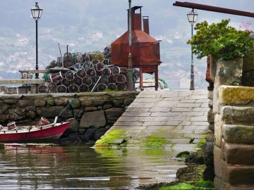 Shenzhen food import agency customs declaration, do you know these key points?