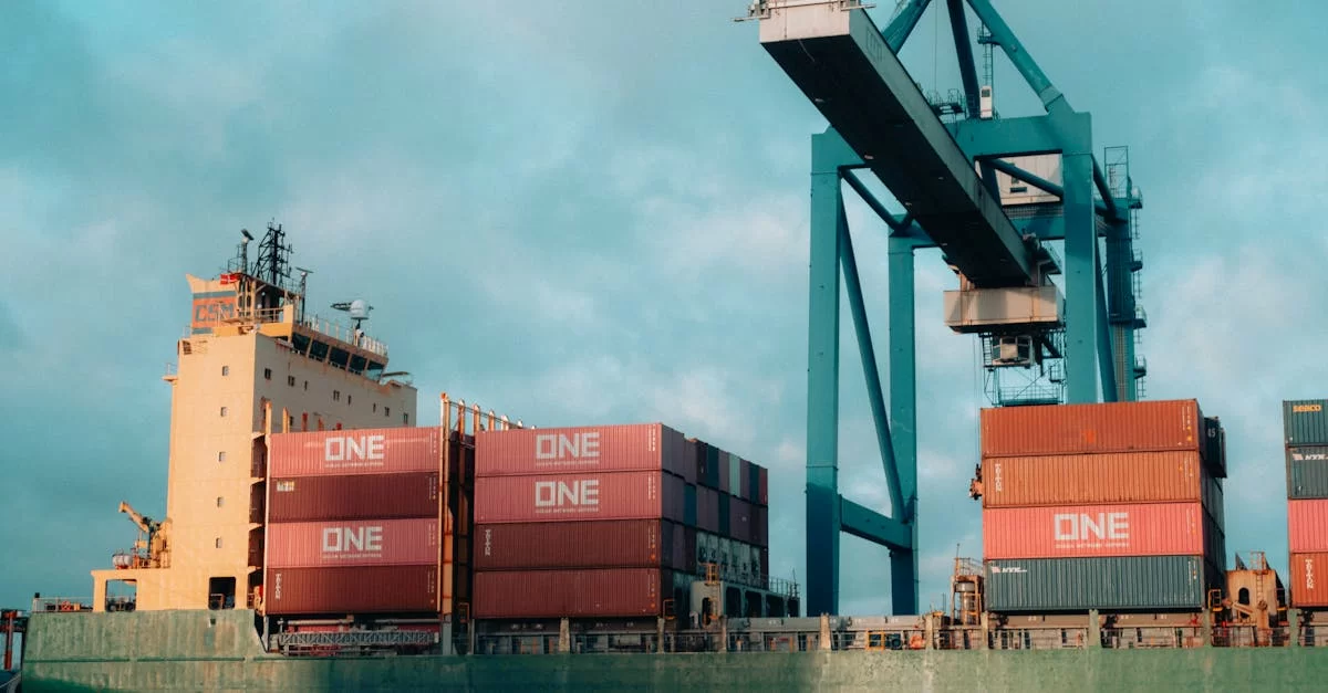 Ne soyez pas confus, voici la procédure de création d’une société d’exportation !