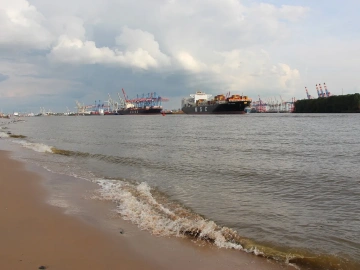 General process of agency import