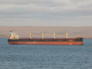 Enthüllung der Blackbox-Operationen von Zhong-Hong-Import- und Exportagenturen