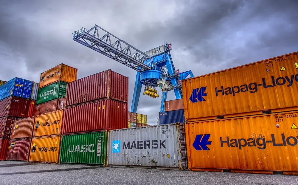 Découvrez ! Le processus complet de déclaration en douane par agent pour les exportations de Qingdao révélé