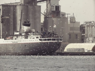 What problems should we pay attention to when looking for an agent to export by ourselves?