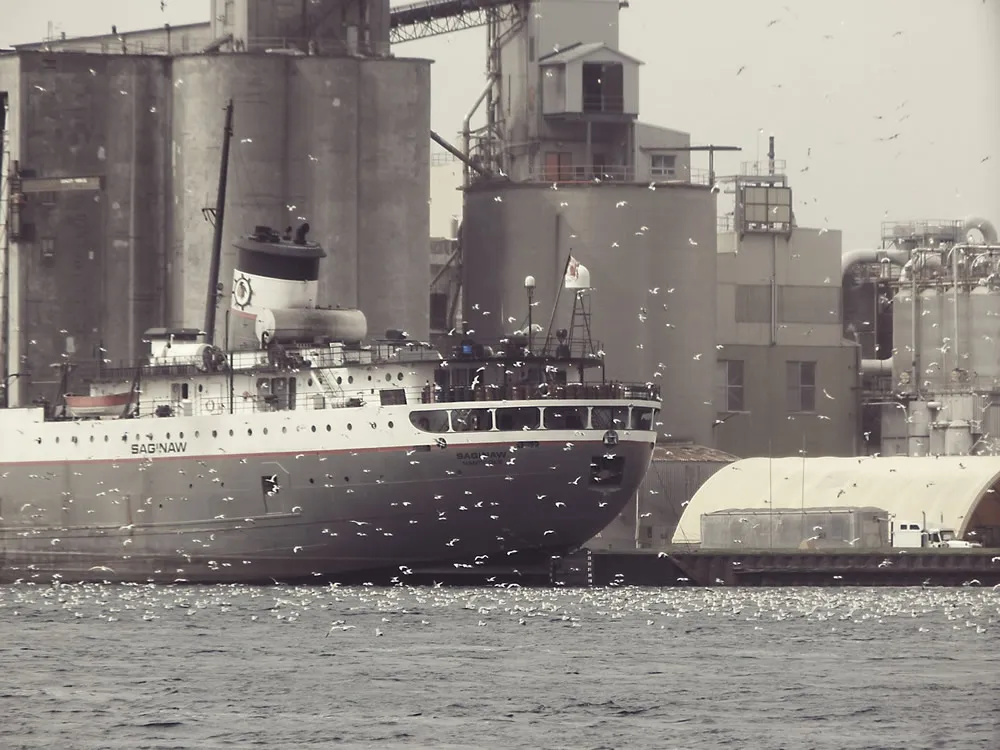 Удивление! Столько нюансов в стоимости услуг агента по возмещению экспортного НДС в Хунани