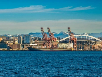 Stop Wasting Efforts! Dongguan Import Agency Services Are This Important