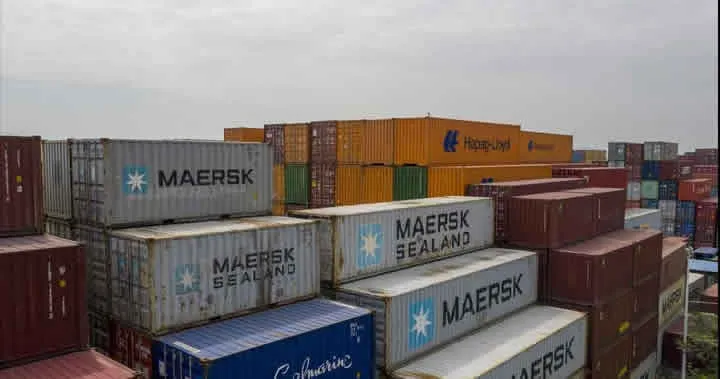 How can acting as an agent for imported cosmetics customs declaration be fast and good?