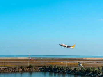 Germany Importer Agent? Do You Know The Ins and Outs?