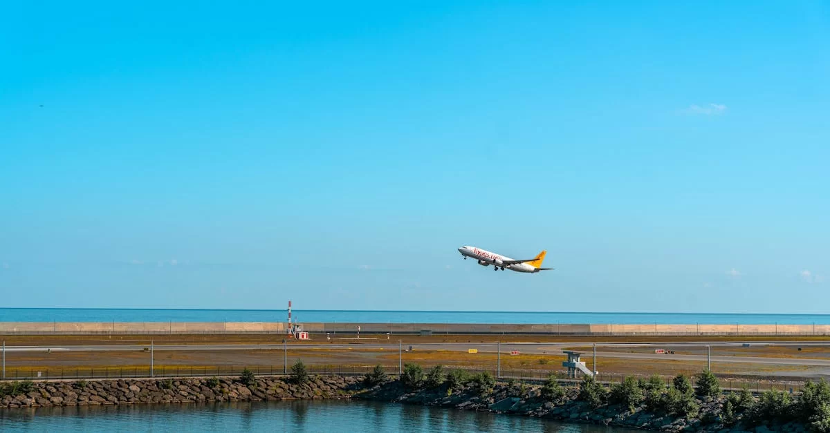 ¿Conoce realmente las empresas de intermediación de importación y despacho de aduanas?