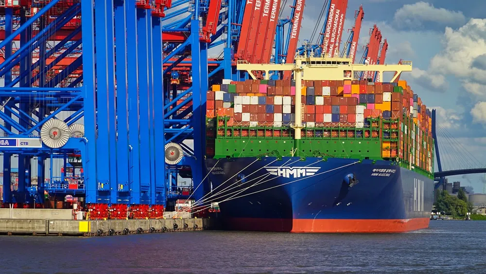 A comprehensive analysis of company import and export rights processing fees in one article