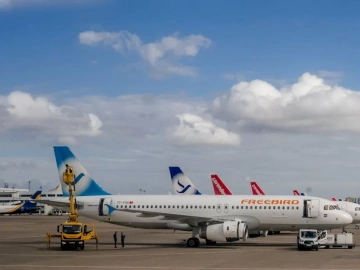 Export process | how many steps do you need to complete the export process?