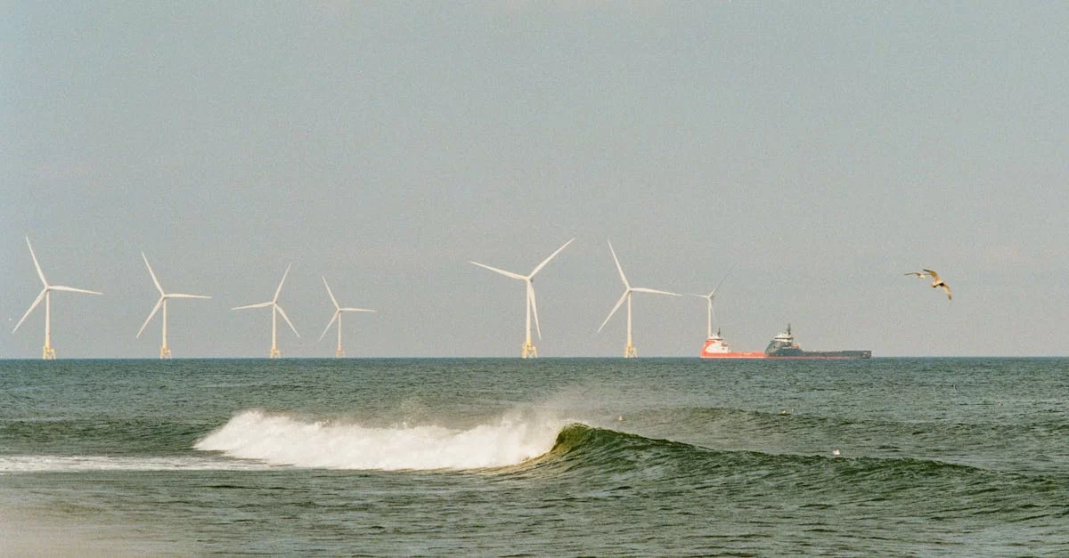 Agentur für Importsoftware im Außenhandel Hunan: Segen oder Fluch?