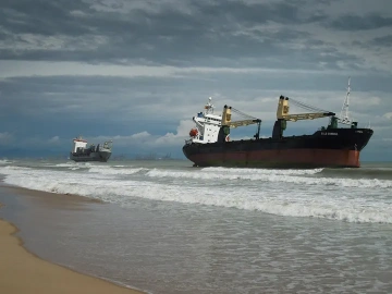 Import von Meeresfrüchten stockt? Möglicherweise sind Sie in diese drei Fallen getappt