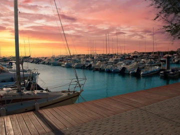 Ne perdez plus de temps ! Voici comment gérer efficacement votre activité de courtage en remboursement de taxes d’import-export