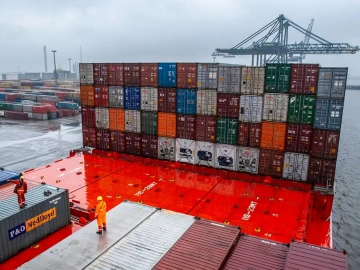 Erstaunlich! Es gibt solche Tricks für den Export von Gelben Mehlwürmern aus Qingdao!