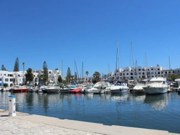 General process of agency import