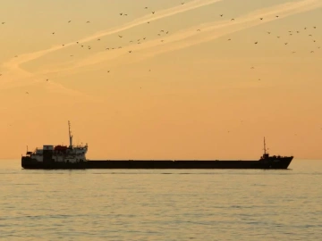 Uncovering the Dark Side of Import Agency