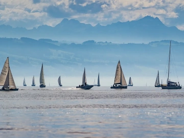 Hydraulic Cylinder Export Agent: The Overseas Expansion Shortcut You've Overlooked!