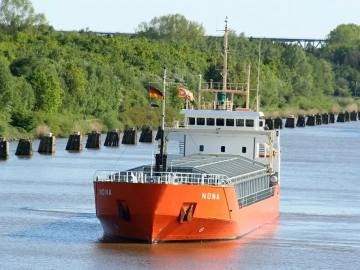 Don’t Miss Out! Unlimited Business Opportunities in Importing Large Ginger One-Time Fertilization Agency