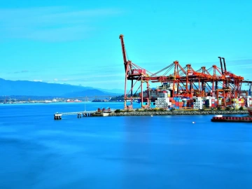 Vertretung für die Beantragung von Import-/Exportlizenzen? Hier finden Sie alles, was Sie wissen müssen!