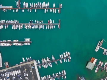 Pourquoi les services d’agent de déclaration en douane pour l’importation de machines sont-ils si chers ?