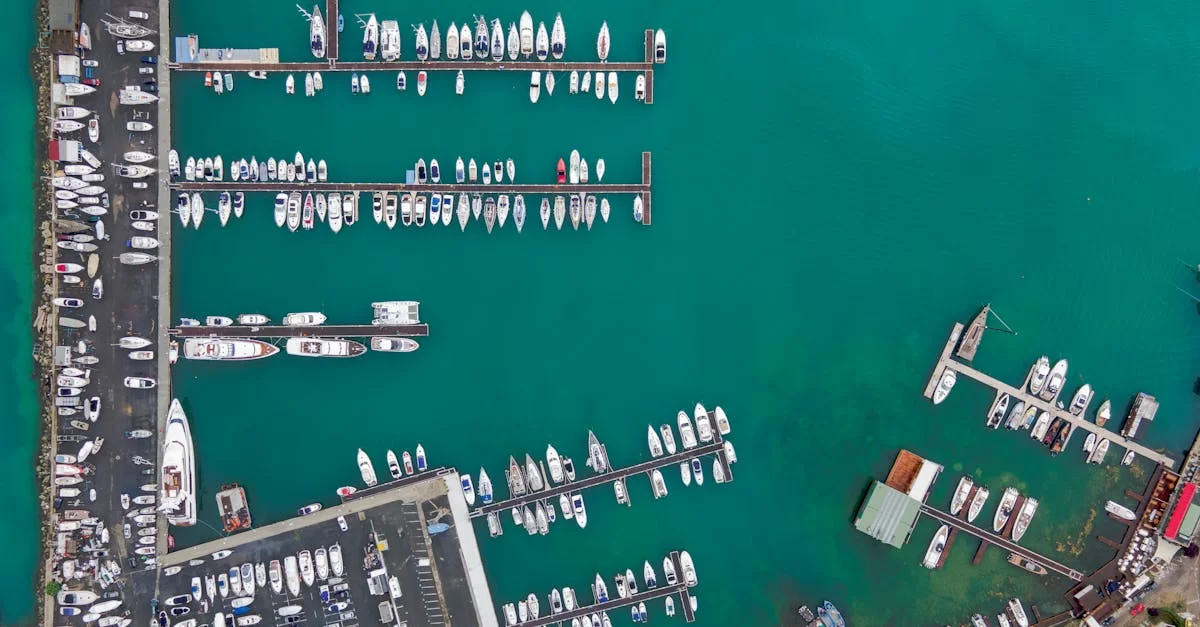 Agente de exportación de Shaguan Kahang, ¡Zhongmaoda posee una capacidad tan inmensa!