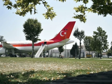 Export Agent Services