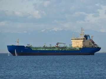 Is Export Agency an IQ Tax? Shenyang Boss Debunks with Data