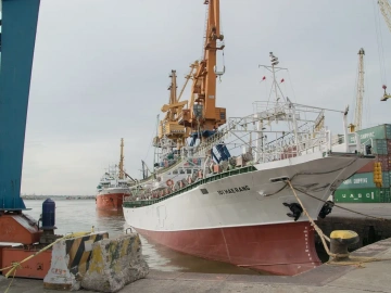 Hangzhou Import and Export Agency Price Unveiled!