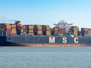 Is Your Foreign Trade Collection Still 'Naked'? Nanchang Enterprises Are Quietly Adopting This Game-Changing Tool