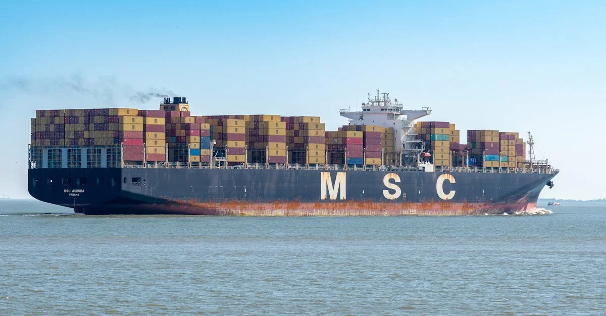 수입지 대리점: 배후의 신비한 조력자를 알고 계신가요?