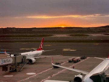 Wuhan Export Agency Collection Services: The Ins and Outs You Need to Know!