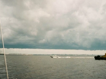 Stupéfiant ! Les sociétés d’agents d’import-export de marchandises recèlent ces secrets