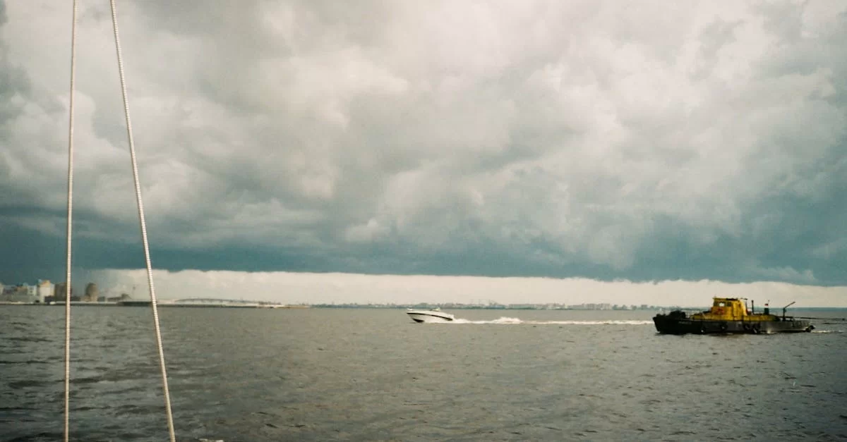 ¿Por qué el precio de importación de corales en consignación fluctúa?