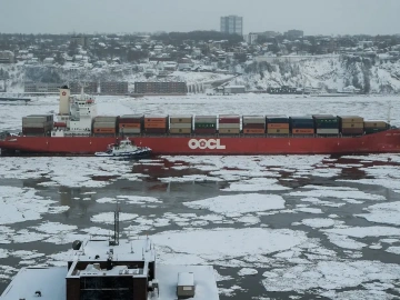 Repräsentativer Import-Zollabfertigung und Zollabfertigung? Kennen Sie die Tricks dahinter!