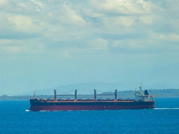 The difference between import and export agent and customs broker