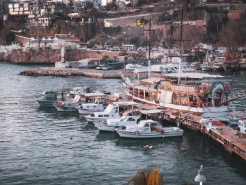 Agent Import Customs Declaration and Clearance? Do you know all the ins and outs!