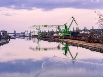 Erstaunlich! Es gibt solche Tricks für den Export von Gelben Mehlwürmern aus Qingdao!