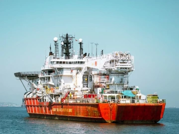 What are the duties of a foreign trade import and export agency?