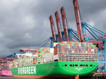 Qingdao Red Wine Import Agency, Things You Didn't Know!