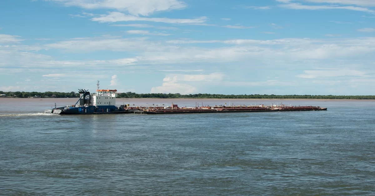 Entreprises de commerce extérieur d’exportation alimentaire : opportunités ou défis ?