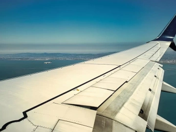 What are the main responsibilities of a foreign trade import and export agency?