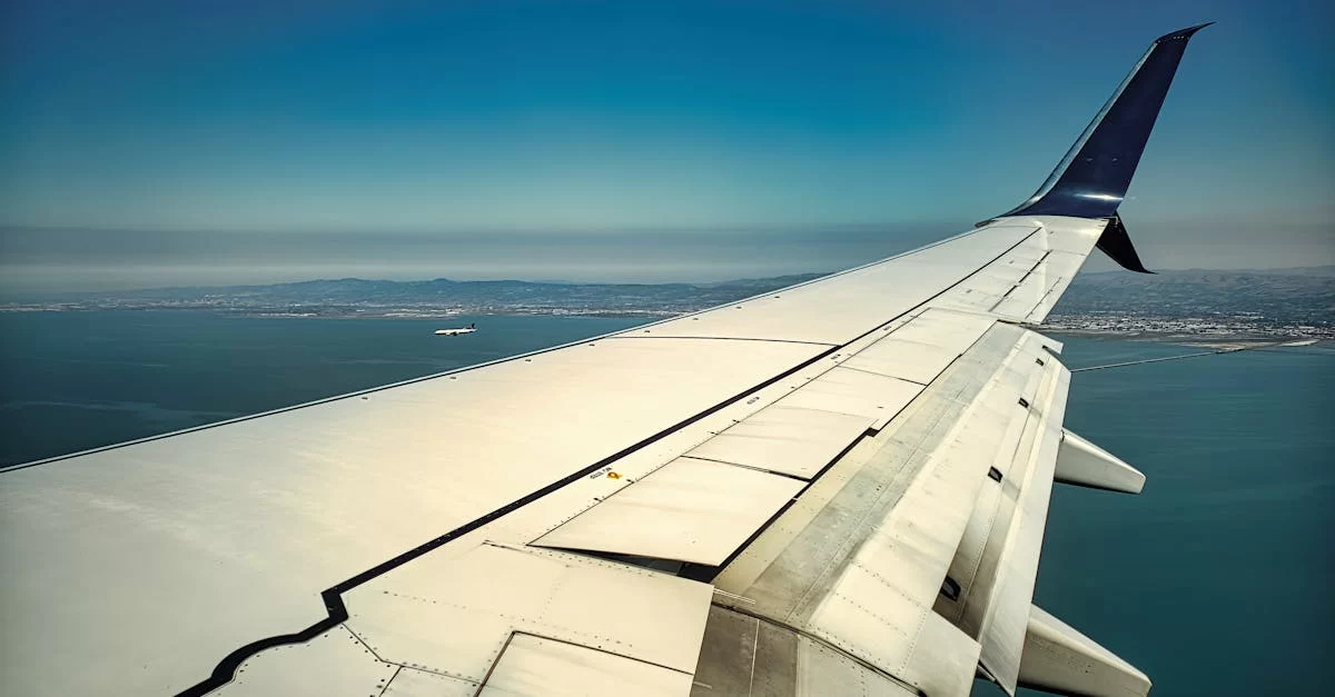 How Important Are Freight Forwarders? You Won't Know Until You Read This!