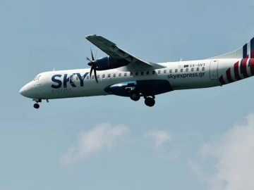 Imported Seafood Customs Clearance Slow? You Might Have Stepped Into These Three Minefields