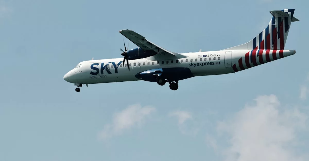 Трансграничная реэкспортная торговля: бизнес-возможность или ловушка?