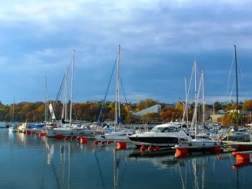 Ne perdez plus de temps ! Voici comment gérer efficacement votre activité de courtage en remboursement de taxes d’import-export