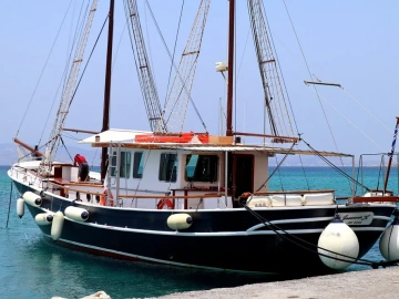 Who is the invisible champion of import and export agents?