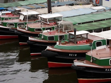 Der Import- und Exportagent ist der „Cheat-Code“ der Außenhandelsbranche